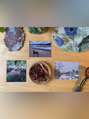 Nature Sticker Set (x3) Medium Glossy Original Nature Photography Stickers